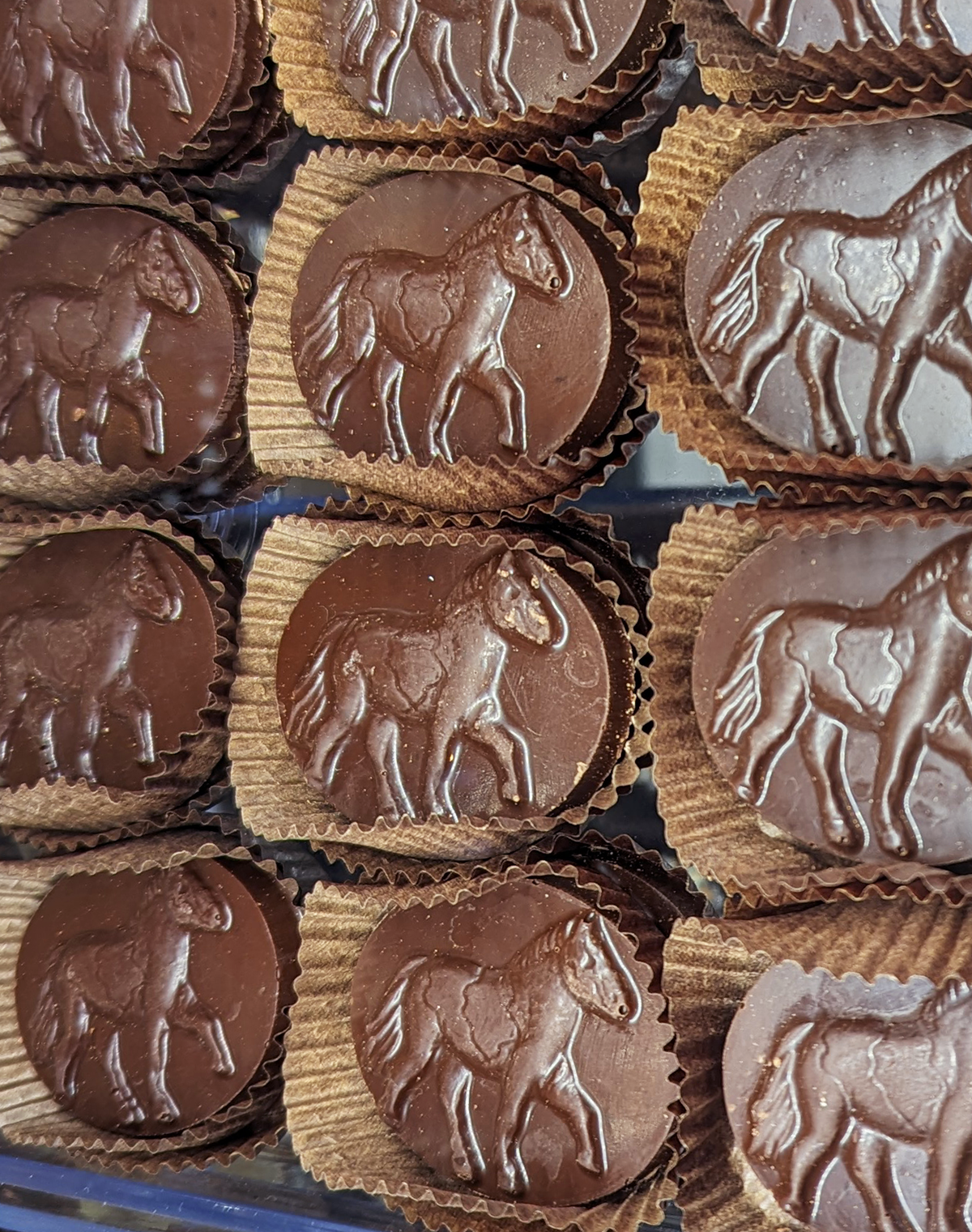 Harbor Sweets Chocolates - Dark Chocolate Peppermint Ponies 8 pc Gable Box
