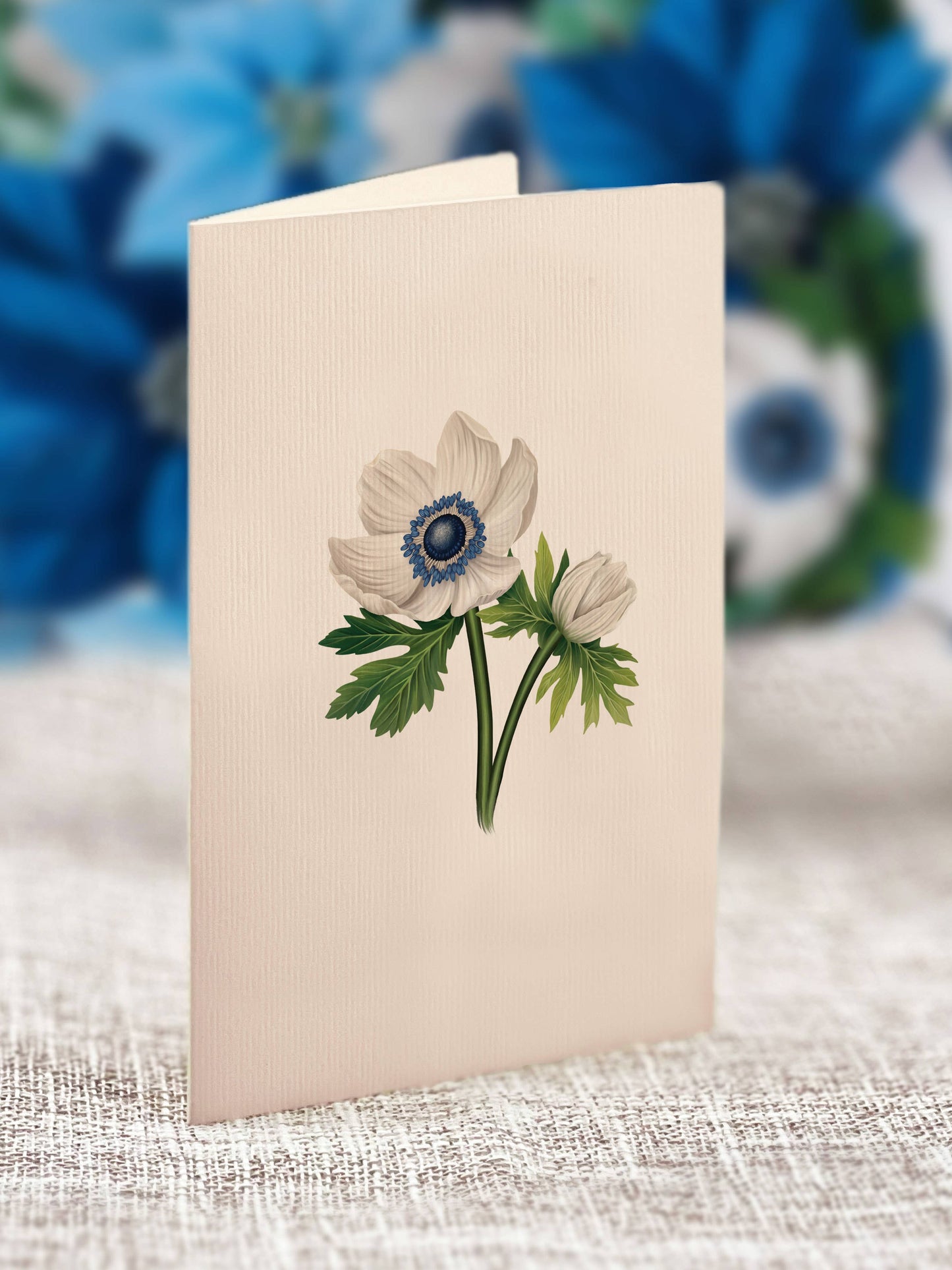 FreshCut Paper LLC - Mini Blue Poinsettia (10 Pop-up Greeting Cards)