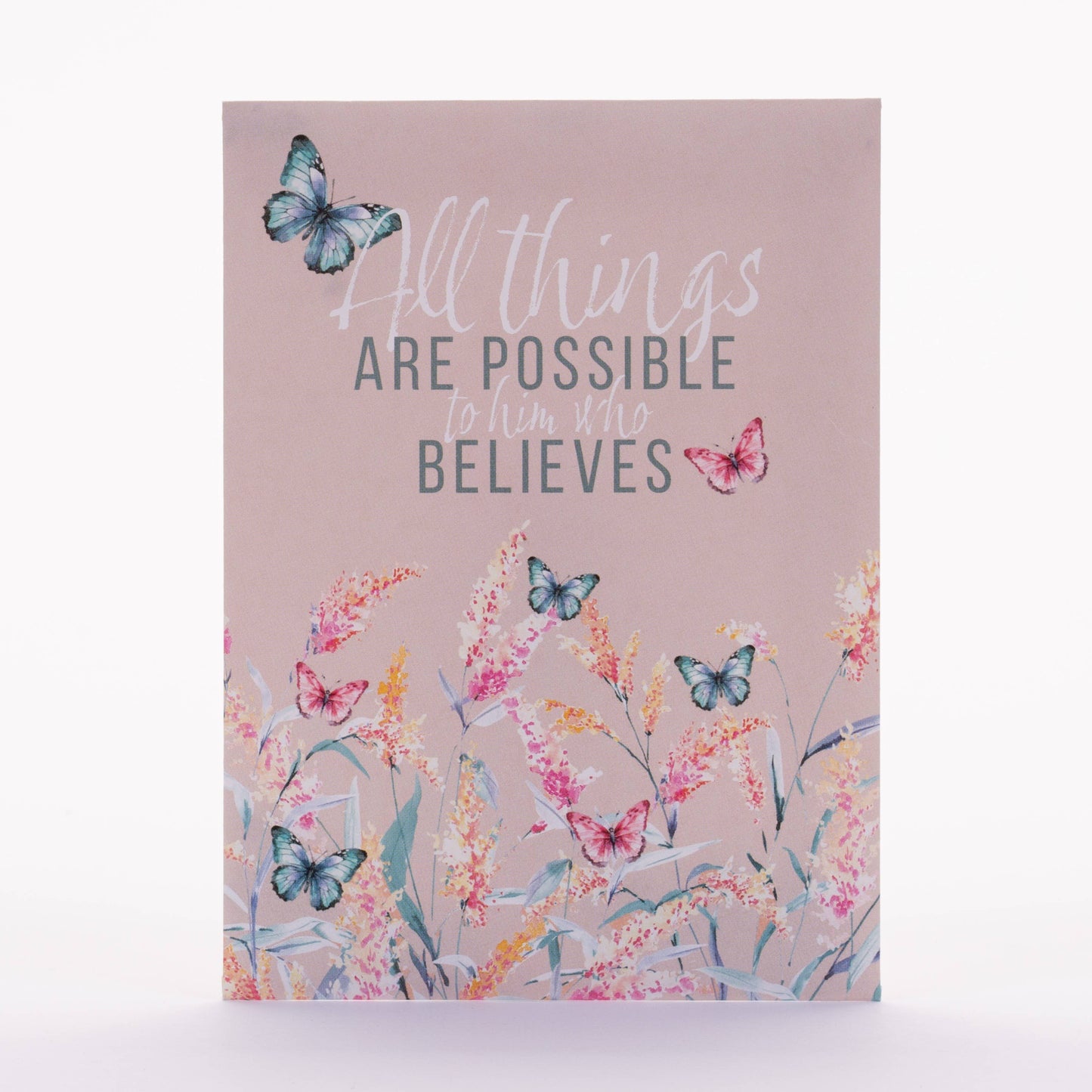 Bentley Seed Co. - All Things Are Possible - Wildflower Seed Packets