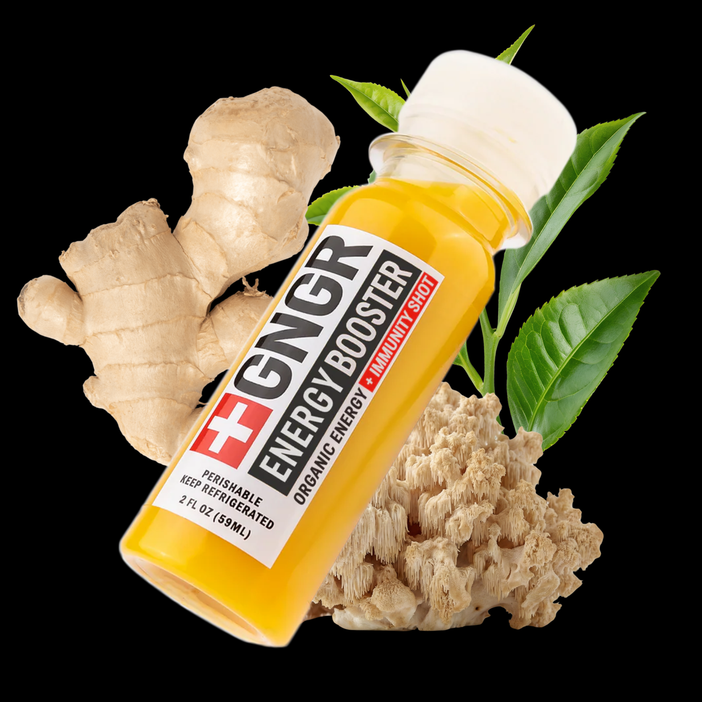 GNGR Labs - Energy Booster Shot: Nootropic Ginger & Turmeric Drink