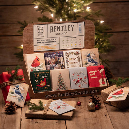 Bentley Seed Co. - Snowy Blue Jay Happy Holidays Gift Tag Card - Seed Packets