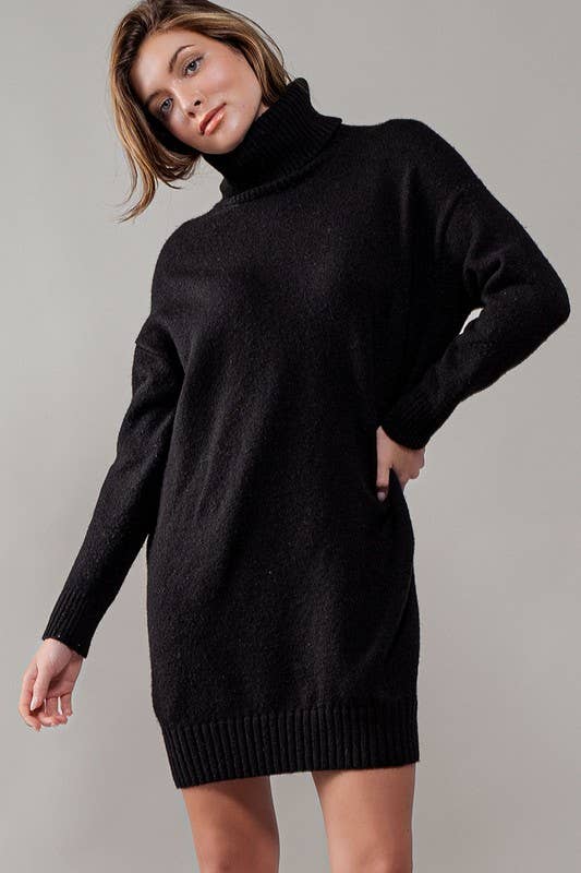 THICK TURTLENECK LOOSE FIT KNIT SWEATER DRESS
