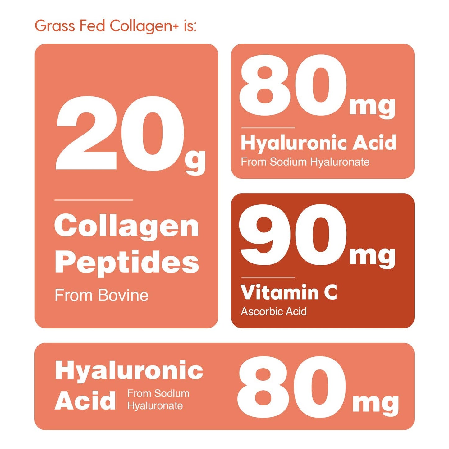 Hearthy Foods - Collagen+ with Hydrolyzed Collagen Powder - Biotin - Hyaluronic Acid & Vitamin C