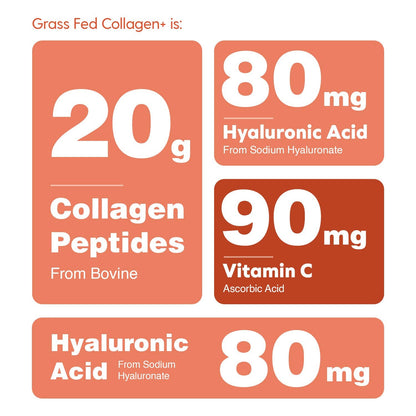 Hearthy Foods - Collagen+ with Hydrolyzed Collagen Powder - Biotin - Hyaluronic Acid & Vitamin C
