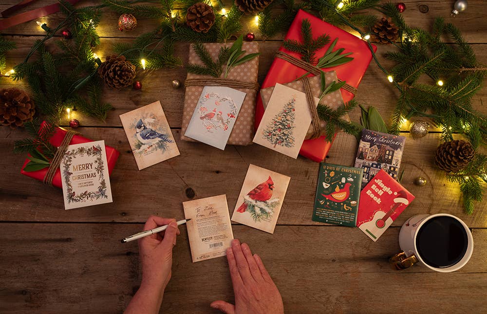 Bentley Seed Co. - Snowy Cardinal Holiday Gift Tag - Wildflower Mix Seed Packet