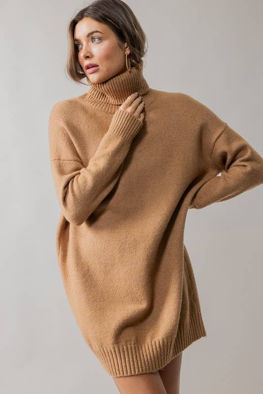 THICK TURTLENECK LOOSE FIT KNIT SWEATER DRESS