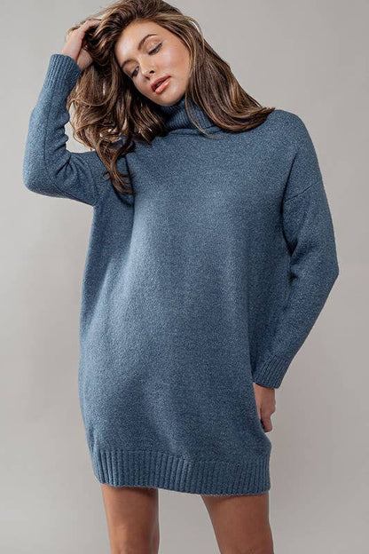 THICK TURTLENECK LOOSE FIT KNIT SWEATER DRESS