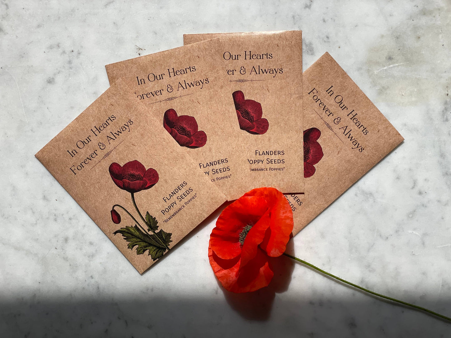 Bentley Seed Co. - In Our Hearts Remembrance Memorial - Flanders Poppy
