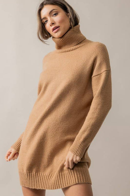 THICK TURTLENECK LOOSE FIT KNIT SWEATER DRESS