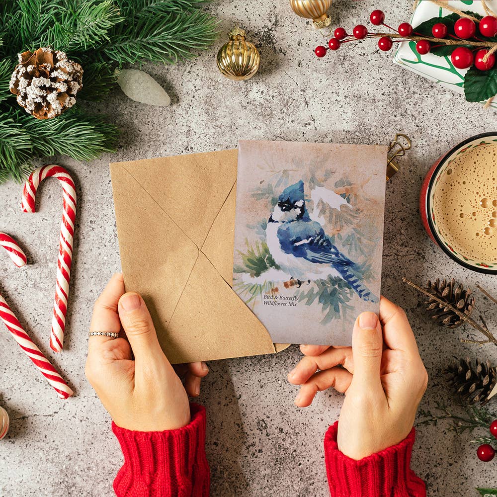 Bentley Seed Co. - Snowy Blue Jay Happy Holidays Gift Tag Card - Seed Packets
