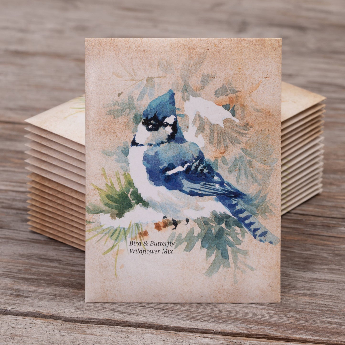 Bentley Seed Co. - Snowy Blue Jay Happy Holidays Gift Tag Card - Seed Packets