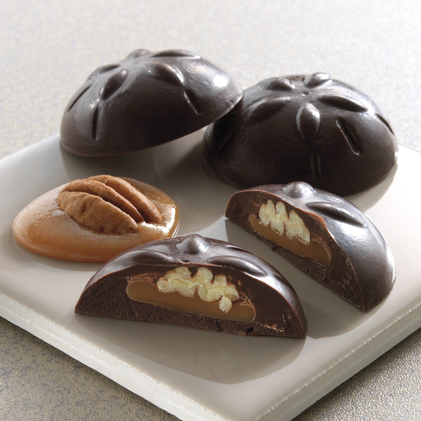 Harbor Sweets - Harbor Sweets Chocolate 45 Pcs Sand Dollars Bulk box foiled
