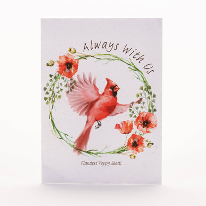 Bentley Seed Co. - Memorial Cardinal - Flanders Poppy Seed Packets