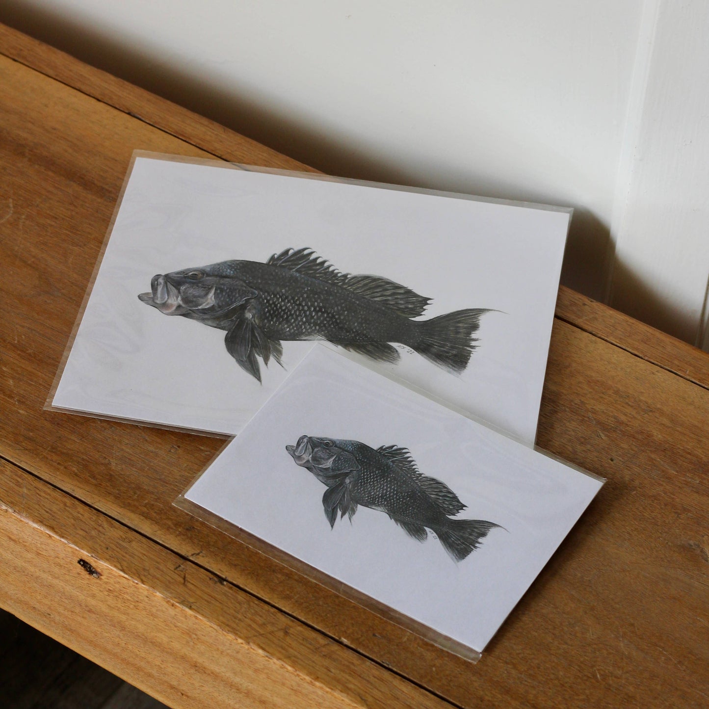 stück in the studio - black bass - print