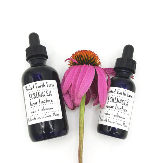 Rooted Earth Farm + Apothecary - Echinacea Tincture - 2 Size Options