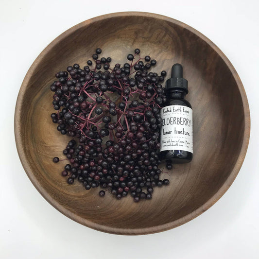 Rooted Earth Farm + Apothecary - Elderberry Tincture - 2 Size Options