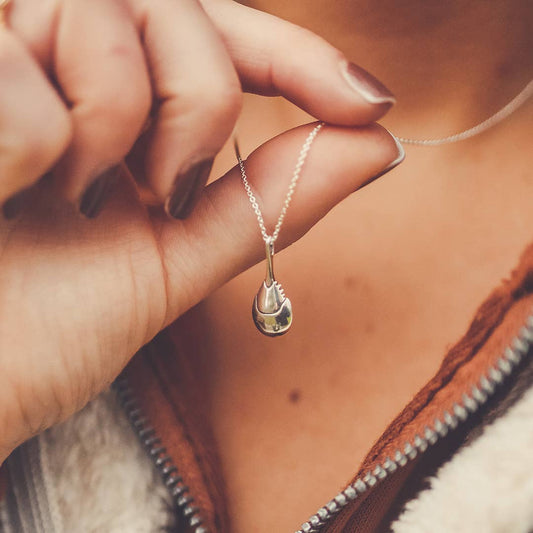 Cape Clasp - Horseshoe Crab Necklace