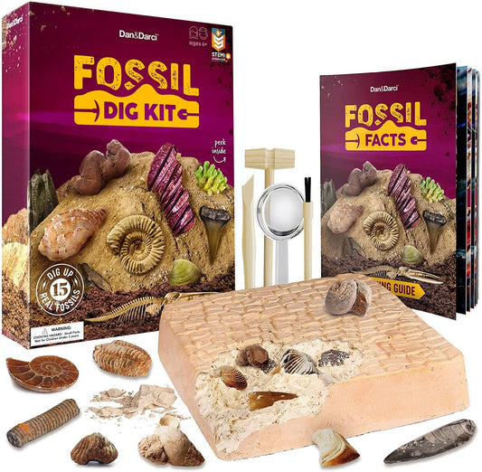 Dan&Darci - Mega Fossil Dig Kit