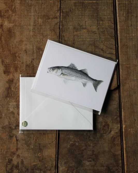stück in the studio - striped bass - greeting card
