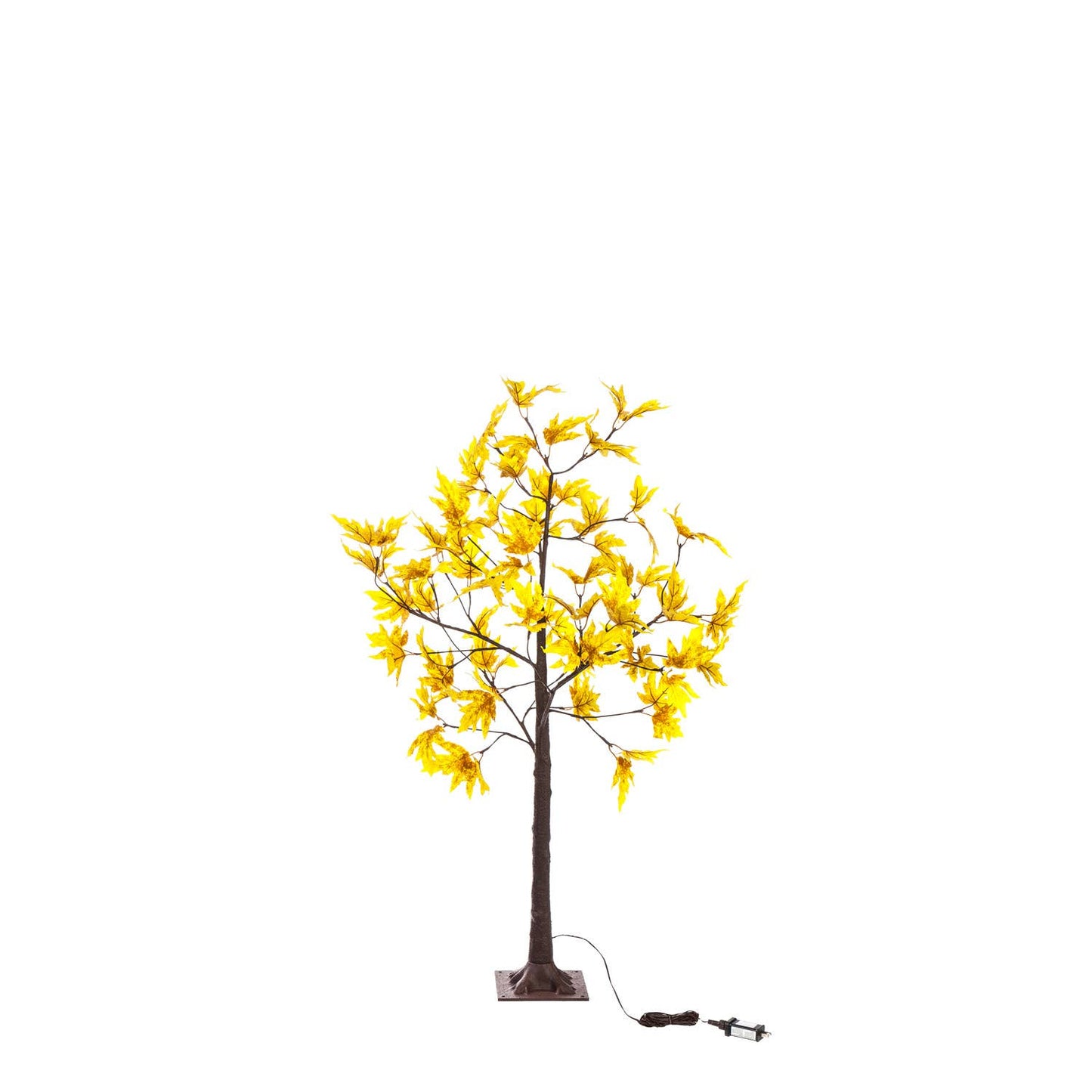Plow & Hearth - Golden Sugar Maple Tree 4'