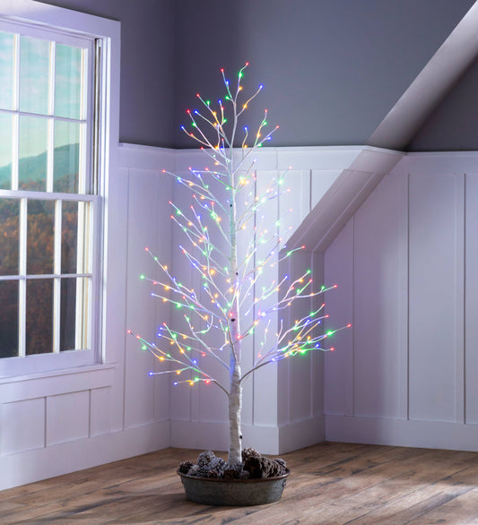 Plow & Hearth - 7'H Indoor/Outdoor Birch Tree