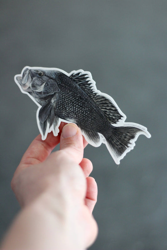 stück in the studio - black bass - sticker