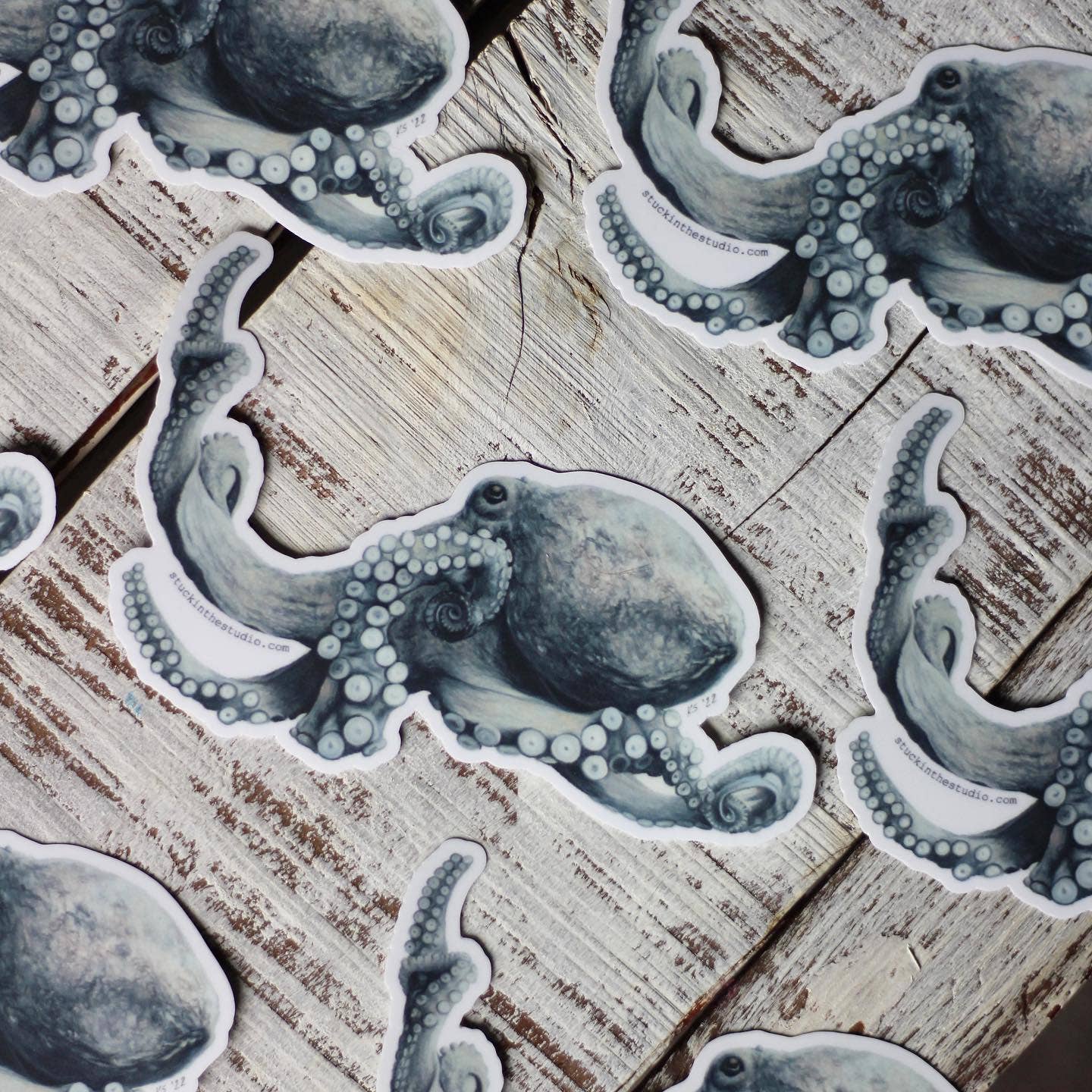 stück in the studio - octopus - sticker