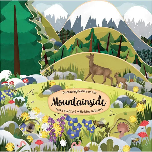 Wellspring - Board Book - Mountainside Layered