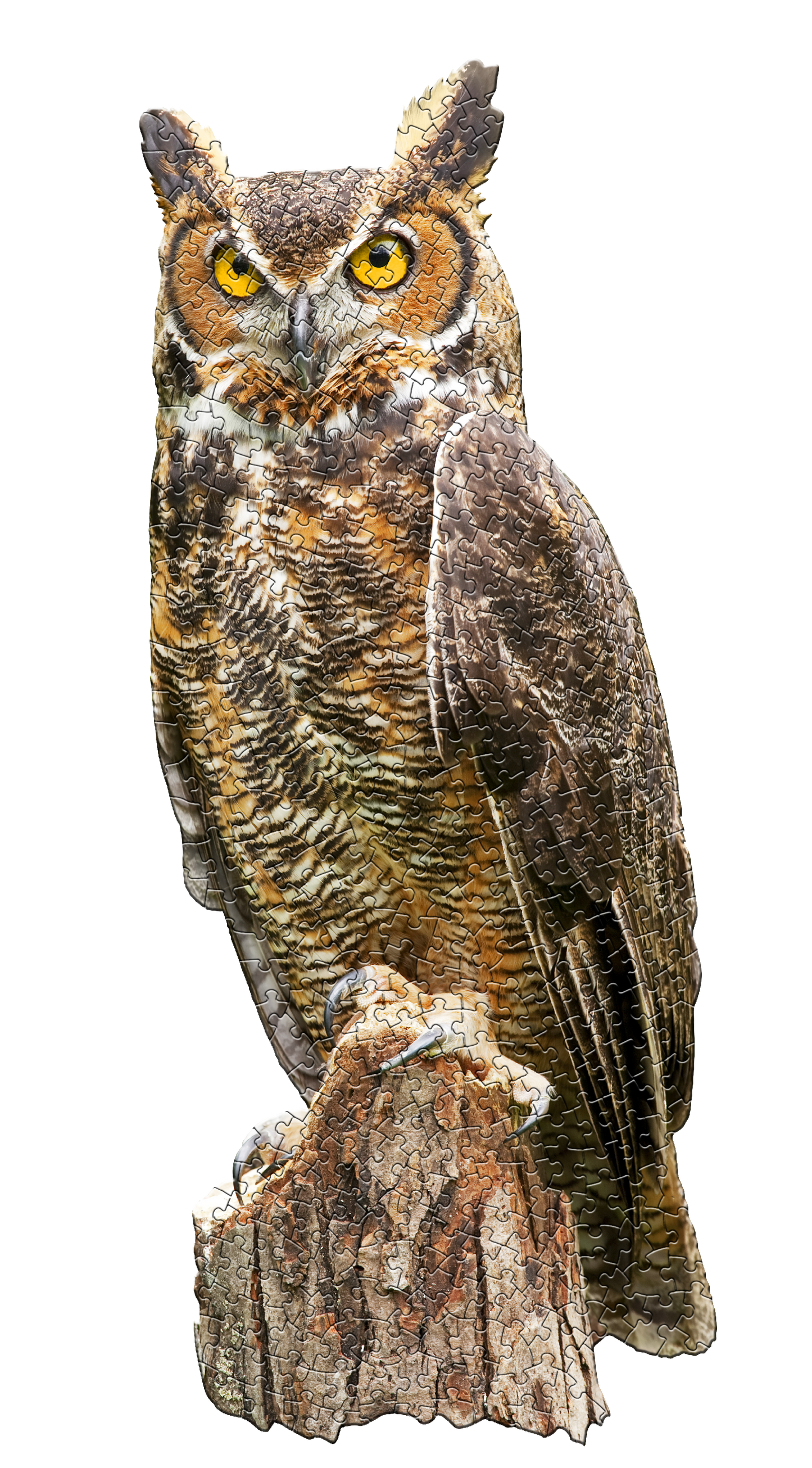 Madd Capp Games & Puzzles - I AM GREAT HORNED OWL 300 piece jigsaw puzzle