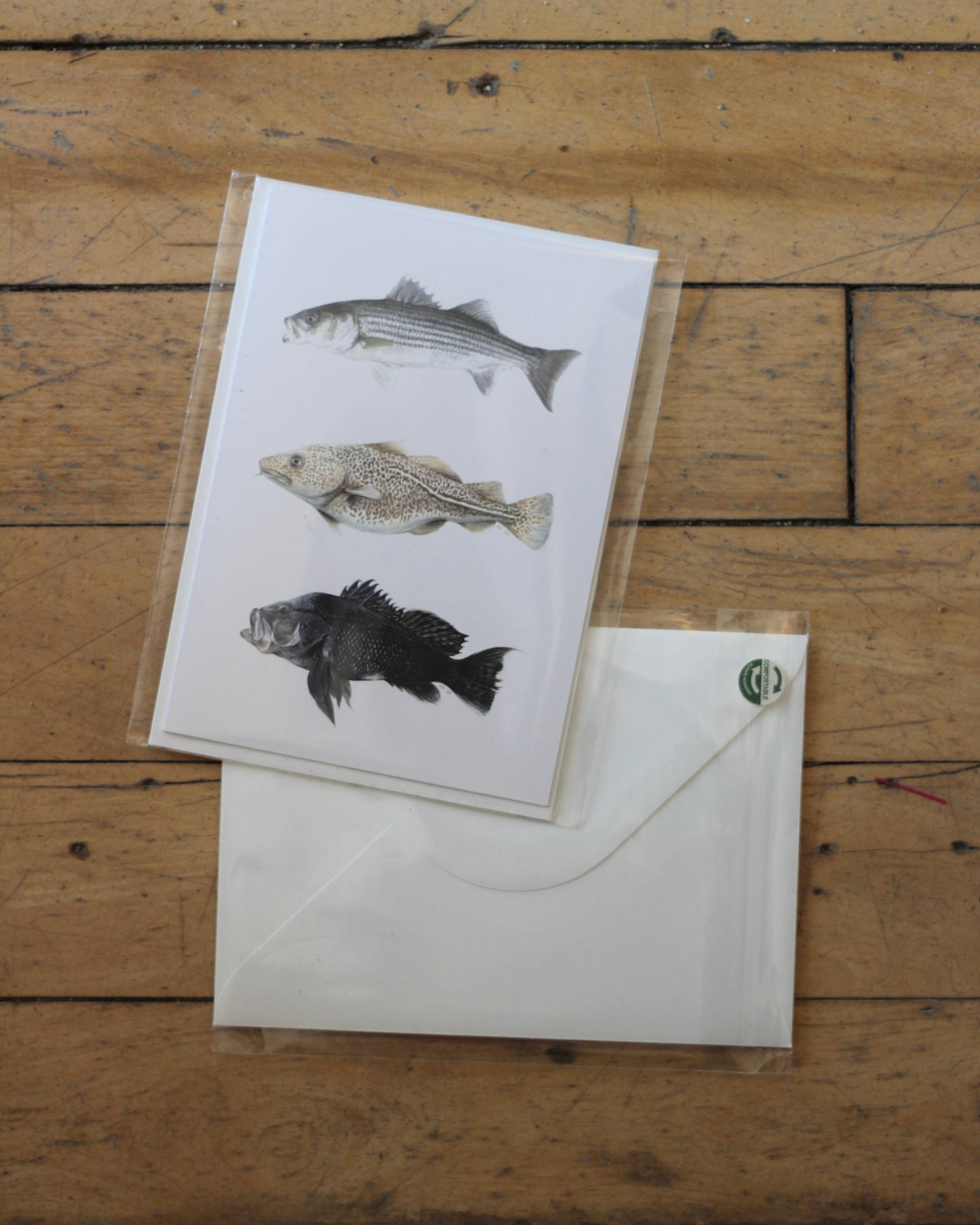 stück in the studio - fishes of cape cod - greeting card