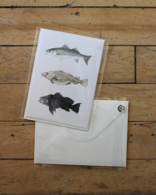 stück in the studio - fishes of cape cod - greeting card