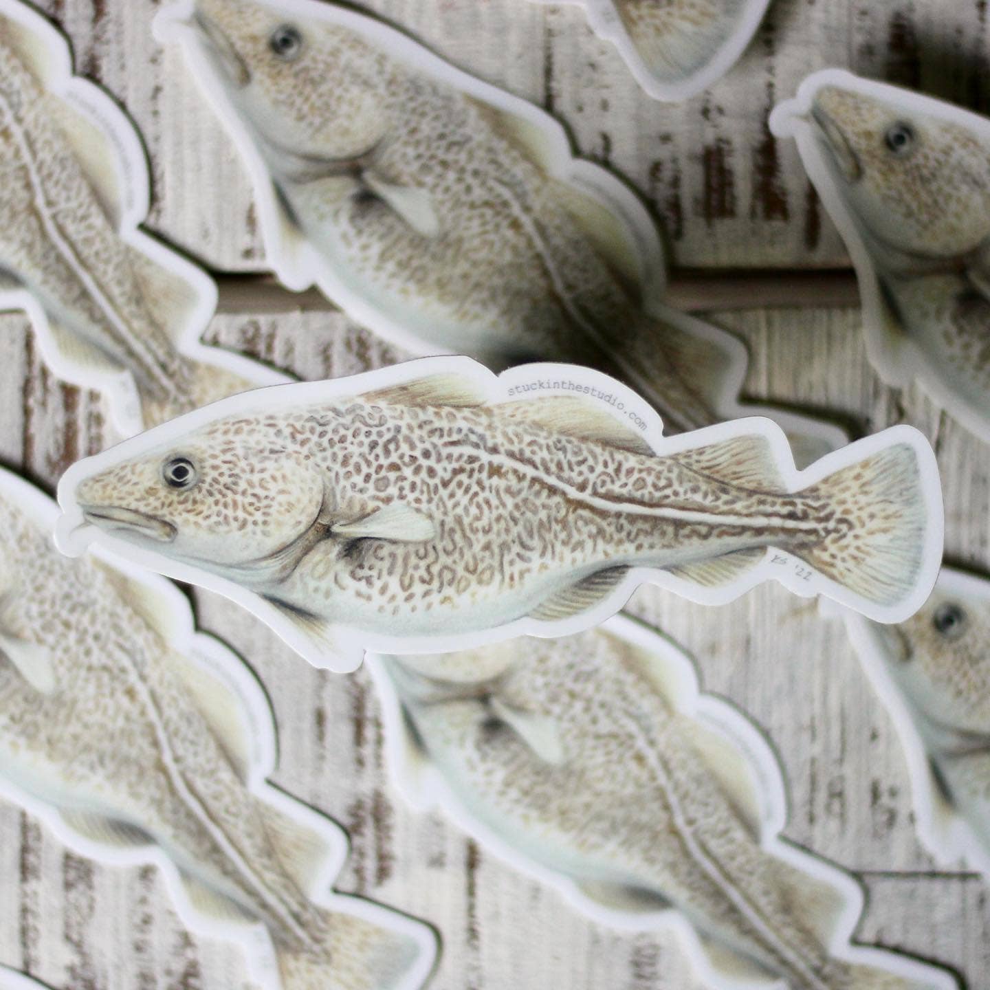 stück in the studio - atlantic cod - sticker
