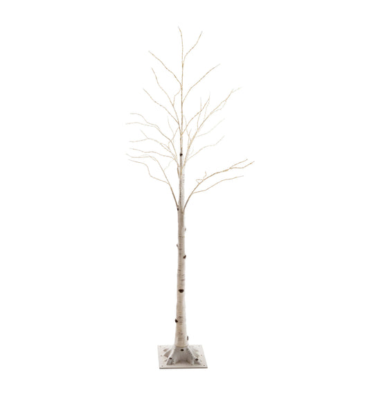 Plow & Hearth - 6'H Indoor/Outdoor Birch Tree