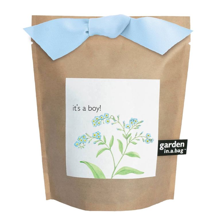 Garden in a Bag | It's a Boy