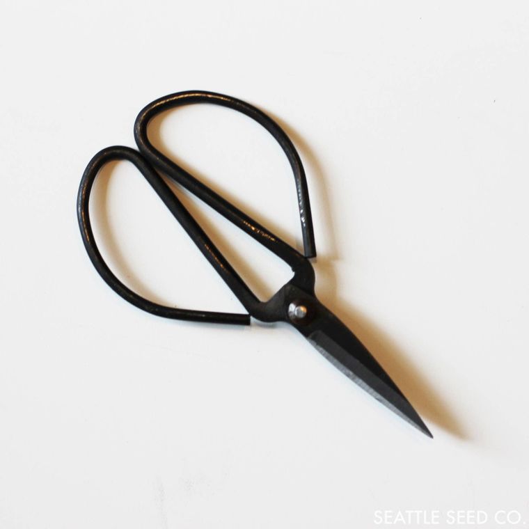 Forged Steel Pruners