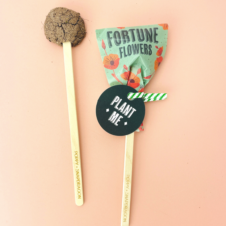 Fortune Seed Pop