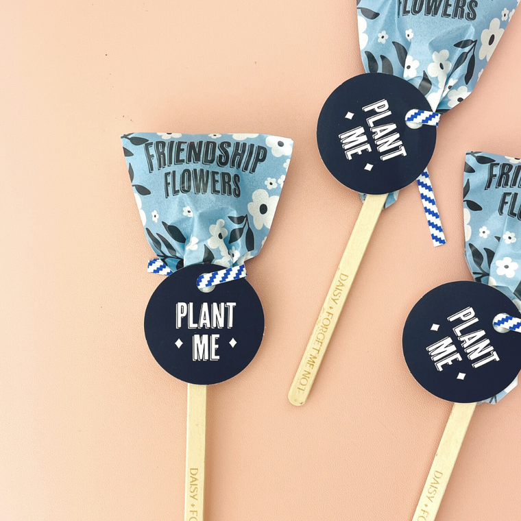 Friendship Seed Pop