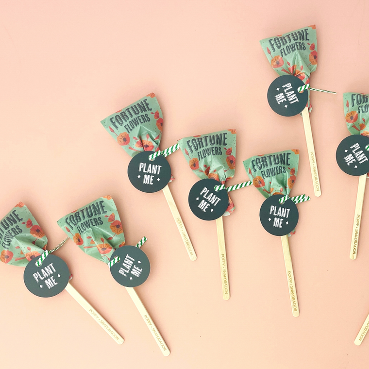 Fortune Seed Pop