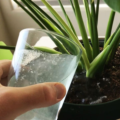 Instant Plant Food (StarterPack) Houseplant & Indoor Plant Fertilizer