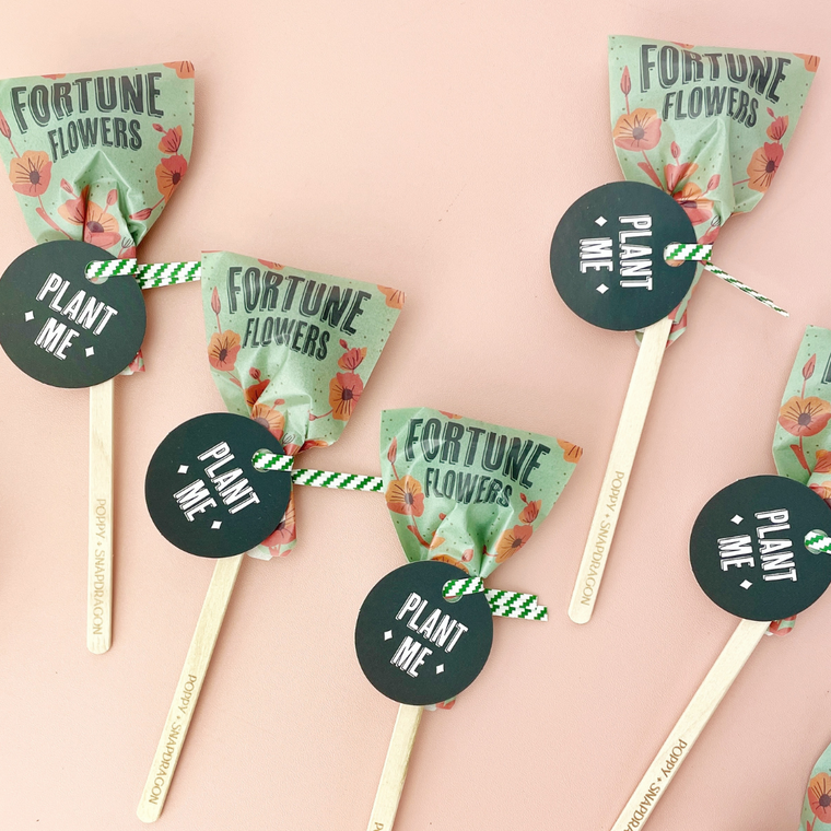 Fortune Seed Pop