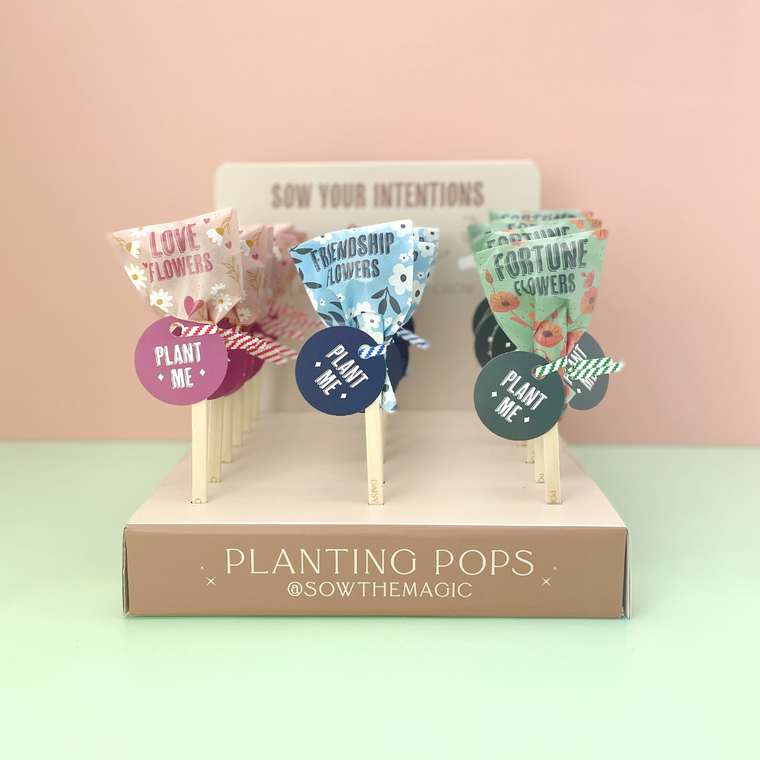 Fortune Seed Pop