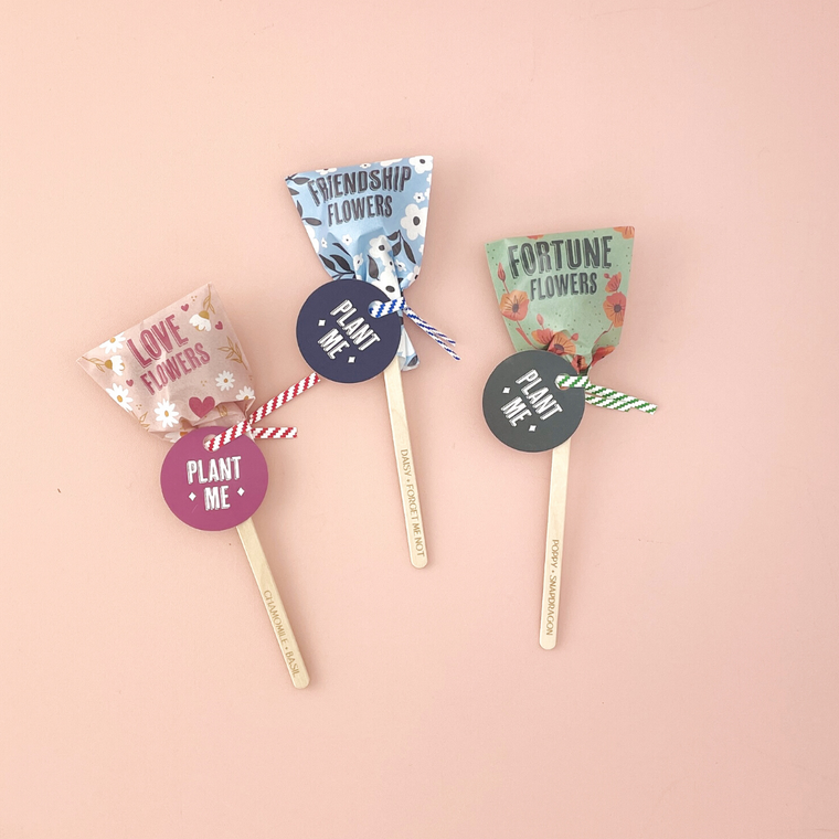 Friendship Seed Pop